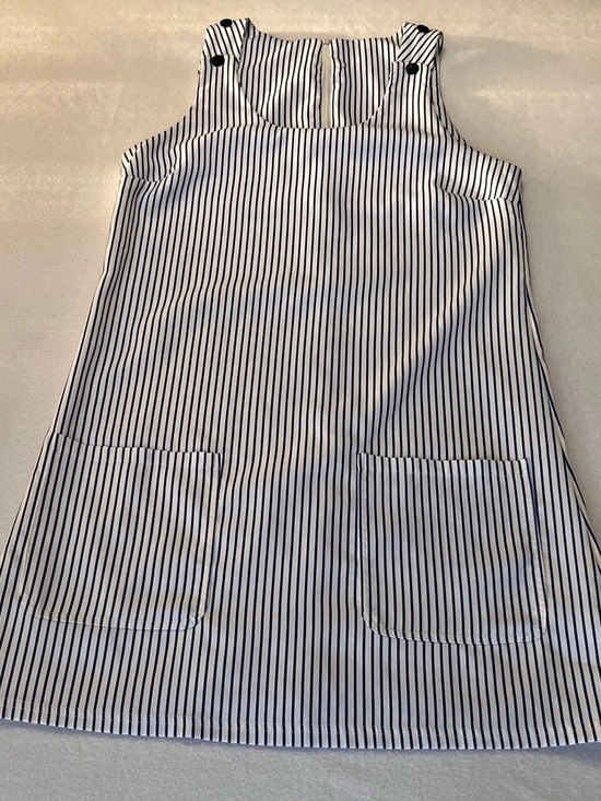 None Dresses & Skirts - Shift Striped Dress in White & Blue Like New